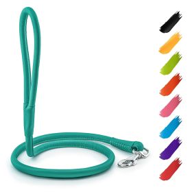 Rolled Leather Dog Leash 6Ft x 0.4 in for Small Medium and Large Dogs Heavy Duty Leash for Outdoor Walking Running Training Mint Color