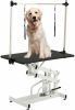 43 Inch Adjustable Heavy Type Hydraulic Pet Dog Grooming Table Upgraded Professional Drying Table Heavy Duty Frame with Adjustable Arm and Noose