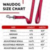 Nylon Dog Leash for Small Dogs and Medium Dogs 4 Ft x 4/5 inch Wide Strong Dog Leash Heavy Duty Dog Leashes for Small Boy Girl Dogs Watermelon Color