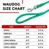 Rolled Leather Dog Leash 6Ft x 0.3 in for Small Medium and Large Dogs Heavy Duty Leash for Outdoor Walking Running Training Mint Color