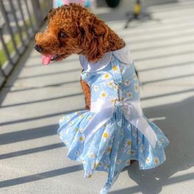 Blue Daisy Dog Dress with Matching Leash (Size: X-Small)