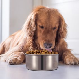 Stainless Steel Dog Bowl Pets Hanging Food Bowl Detachable Pet Cage Food Water Bowl with Clamp Holder (Size: L)