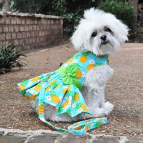 Pineapple Luau Dog Harness Dress with Matching Leash (Size: X-Small)