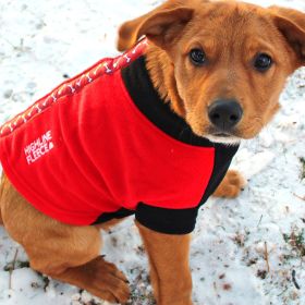 Highline Fleece Coat-Red and Black With Rolling Bones (Size: Size 8)