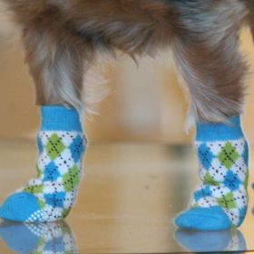 Non-Skid Dog Socks (Color: Blue and Green Argyle, Size: X-Small)