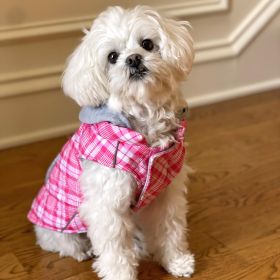 Weekender Dog Sweatshirt Hoodie (Color: Pink and White Plaid Fabric, Size: small)