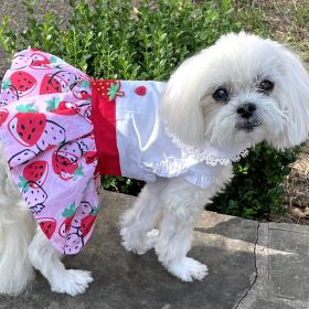 Strawberry Picnic Harness Dress with Matching Leash (Size: X-Small)