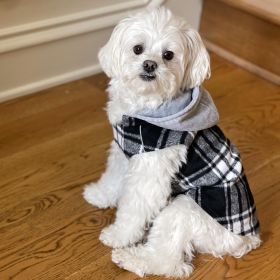 Weekender Dog Sweatshirt Hoodie Black & White Plaid Flannel (Size: X-Small)