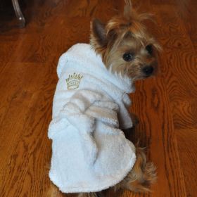 Luxury Dog Bath Robe (Color: Gold Crown, Size: X-Small)